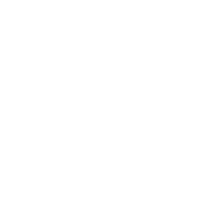 Valitut Palat Facebook ikoni ja linkki